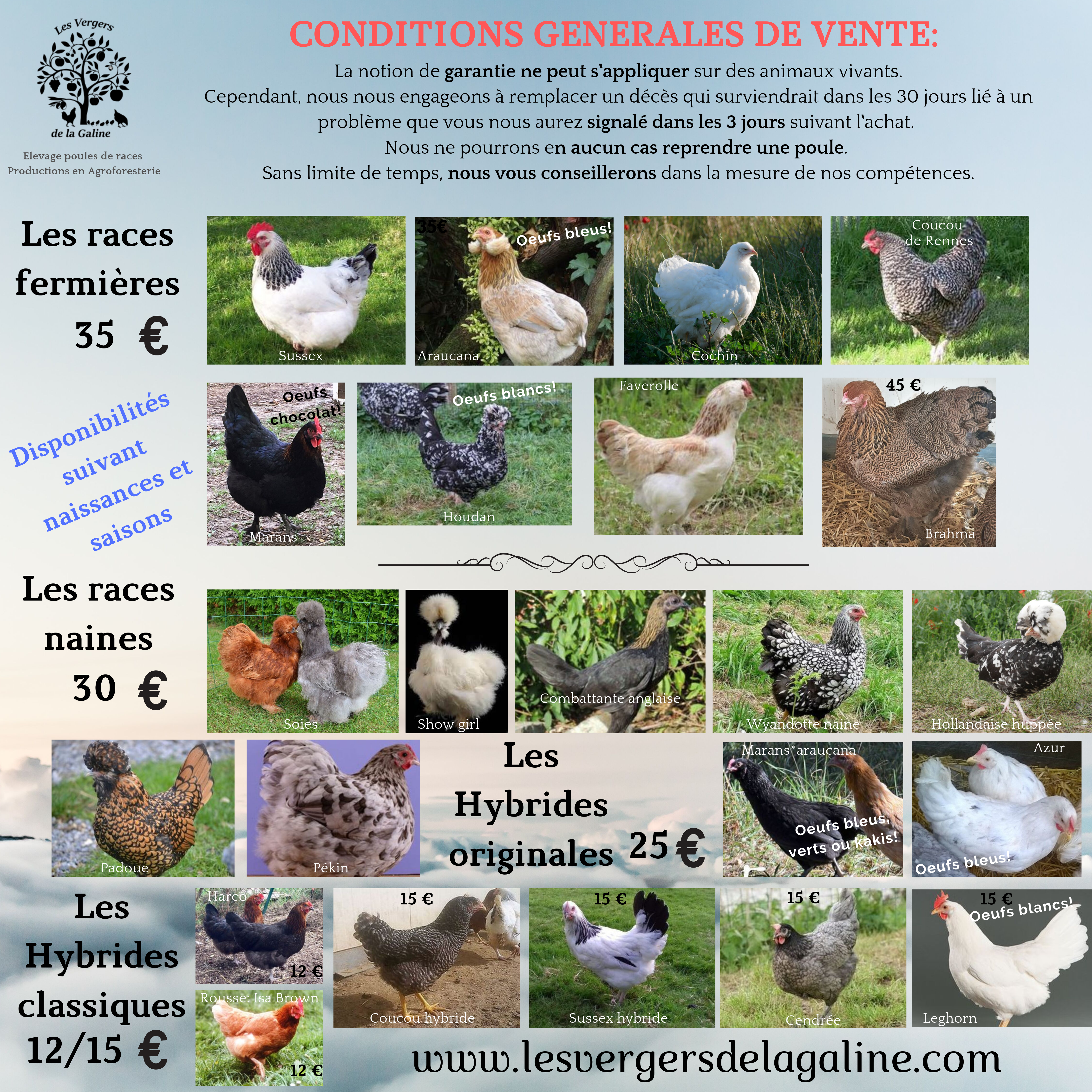 Récapitulatif des races et tarifs: RDV ensuite sur la boutique pour les retrouver