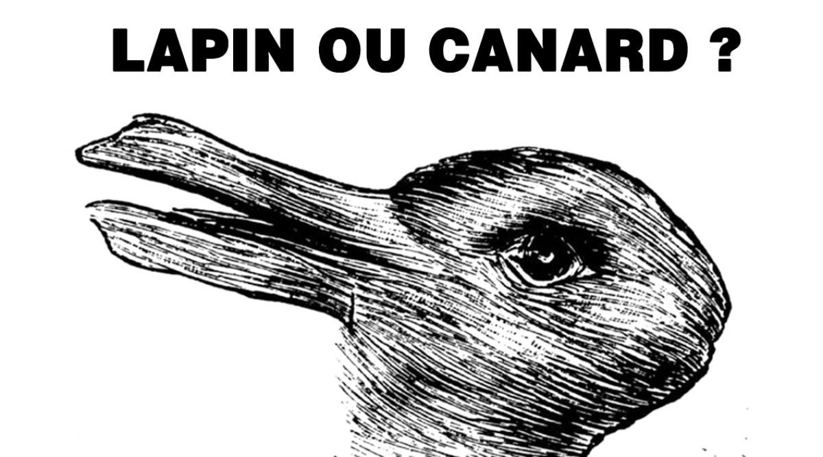 https://www.lesvergersdelagaline.com/wp-content/uploads/2020/04/Lapin-ou-canard-1200x667-1.jpg